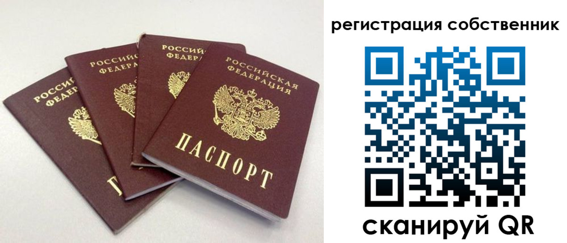 прописка для школы в Козельске